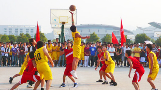 ������ֲ�